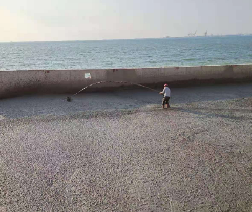 海南海花島